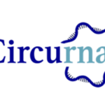 Circurna