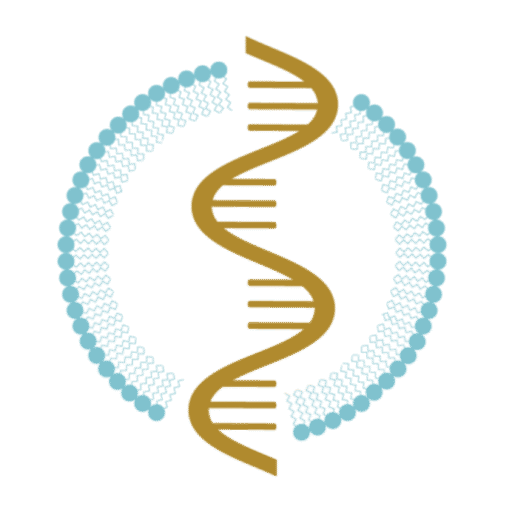 Official logo for the World RNA-Based Therapeutics & Vaccines Summit, uniting global experts in RNA therapeutics, vaccines, delivery technologies, and next-generation medicine development.
